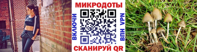 даркнет сайт  Губкин  ссылка на мегу ссылка  Галлюциногенные грибы мухоморы 